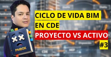 Ciclo de Vida del Proyecto y del Activo en un CDE